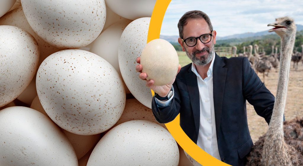Menú Avestruz 2026